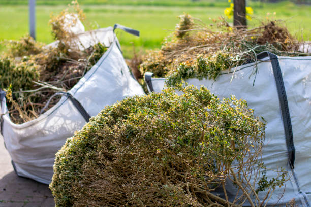 Basement Cleanout Services in Ozark, MO